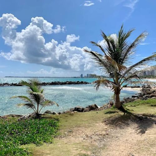 Indulge in a serene getaway, where you can unwind while soaking in the mesmerizing ocean vista, embraced by verdant foliage and swaying palm trees.