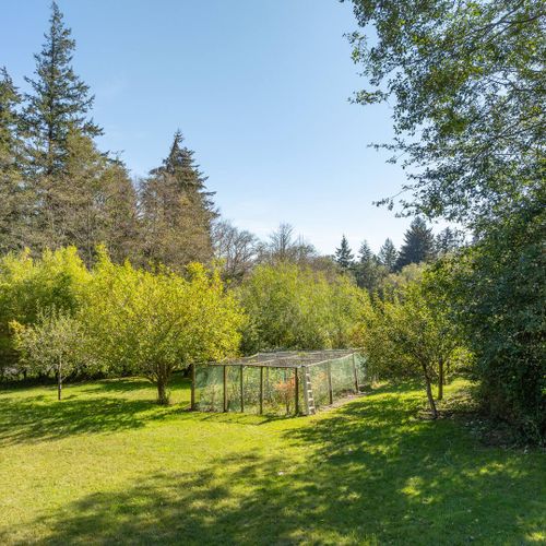 Garden Retreat berry patch and fruit trees.