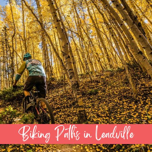 Discover local biking trails perfect for all levels.