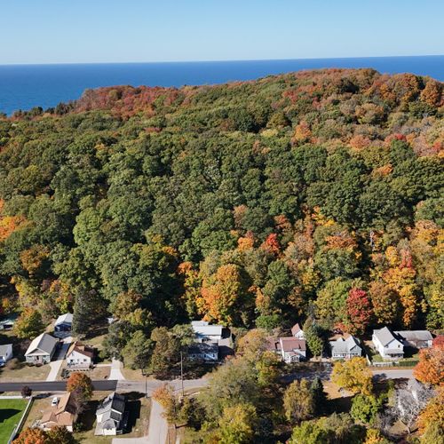 Overall:  aerial view showing the house in the bottom center with the elberta dunes and lake michigan in the background.