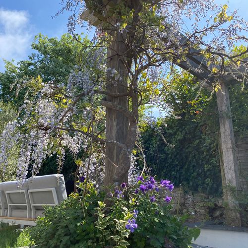 69762ec2 b4ef 4e71 b43a 5160aea109c8 homerunner