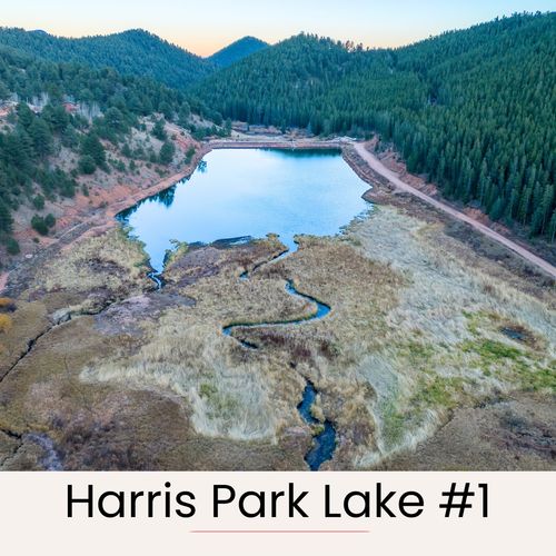 Walk around the lake, 7 minutes from the cabin