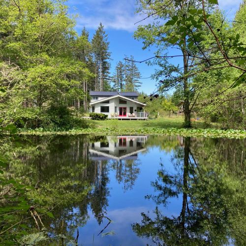 Springtime reflections