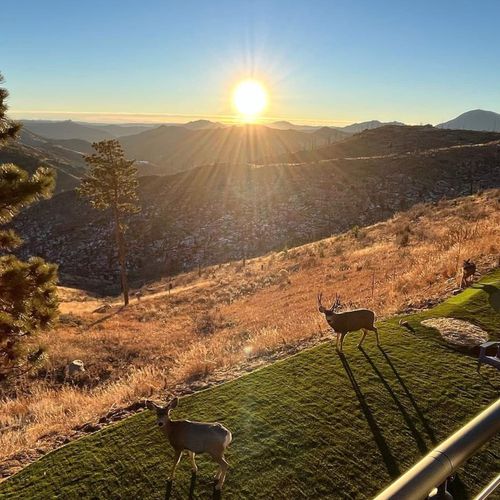 Take in the breathtaking views of the surrounding peaks and valleys at sunset while wildlife gently roam the greenspace.