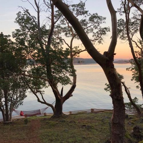 6dacf4cb 8e57 4949 be13 86b5f93bc32c homerunner