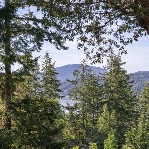 6db0b276 1339 4461 b886 affd6ba789b2 homerunner