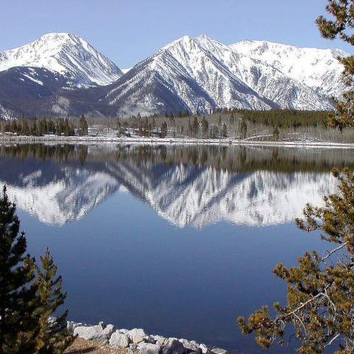 A beautiful view of our spacious backyard and lake for you to explore,  swim in, or just look at.