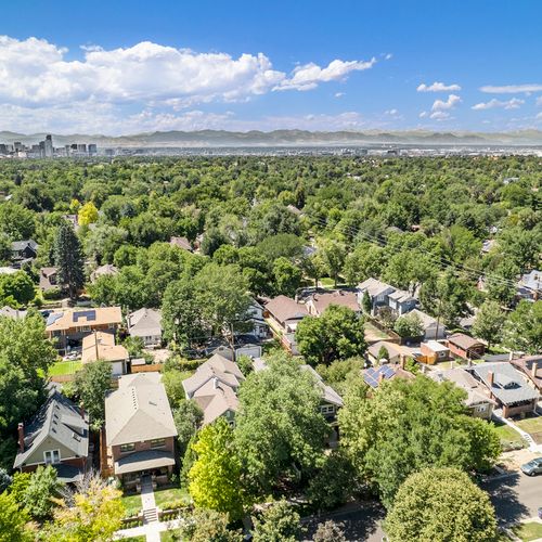A garden oasis near denver