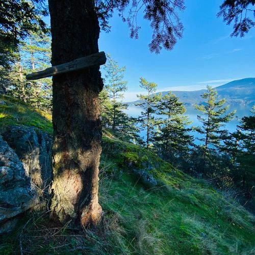 To the beach!  Steep trail that meanders through our private five acres of trees and rocks to the water's edge.
