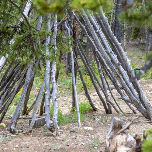 Chill under the teepee and let the trees do the talking.