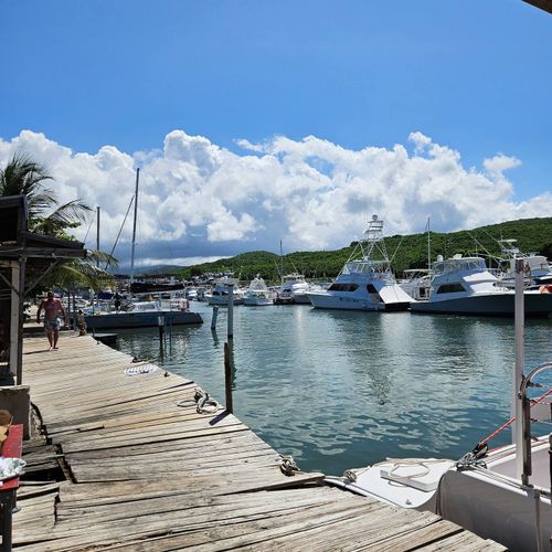 Your next adventure starts here! Discover a lively marina filled with beautiful vessels, ready for a day on the water.