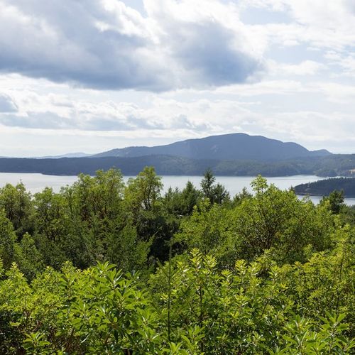 7709a887 44e0 4842 9264 73631df6be05 homerunner