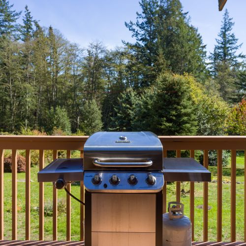 Gas BBQ with tools and extra tank are provided. Just bring your secret sauce!