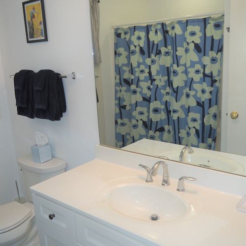 Bathroom #3 (lower level):  this is basically a full private bathroom for whomever is staying in the lower level bedroom.