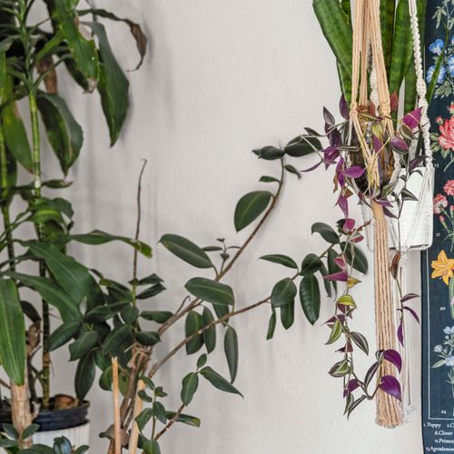 Step into a calm, plant-filled entrance where fresh air and good energy meet.