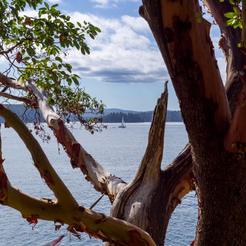 8053aae8 ee51 4aa0 87c2 a55ea9714c6c homerunner