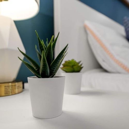 Experience peaceful and cozy slumber in a comfortable bed adorned with a lamp and a potted plant, adding comfort and a natural aesthetic to your stay.