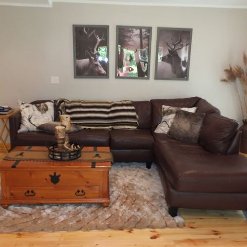 Living room:  another angle highlighting the sofa.