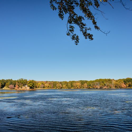 Views from the dock, looking out over the water.