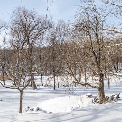 Fresh fallen snow among the trees