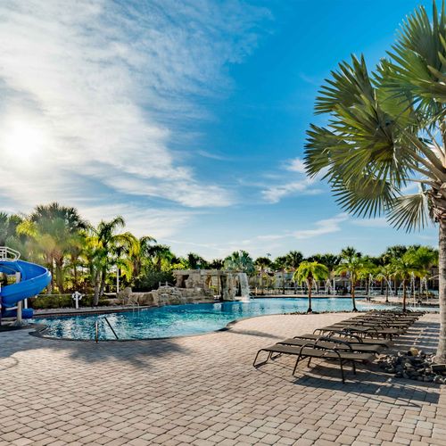 Paradise Palms Resort Sun Loungers