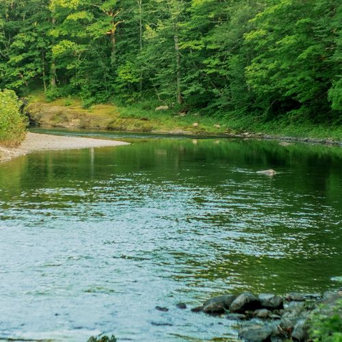 Down a private hiking trail lies Luna Cove's Creek, ready for your enjoyment.