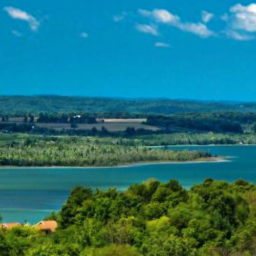 Area attractions:  bellaire is a beautiful town about 30 mins from the house. Hike, bike, boat, and shop. Play a round of golf at shanty creek reort. Then grab dinner at shorts brewery or a cocktail at mammoth distillery. Visit bellairechamber. Org for more info