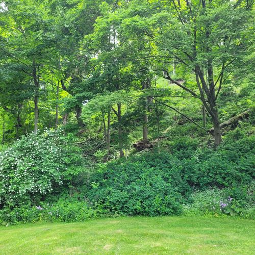 Exterior:  the beautiful backyard and the start of the famous elberta dunes