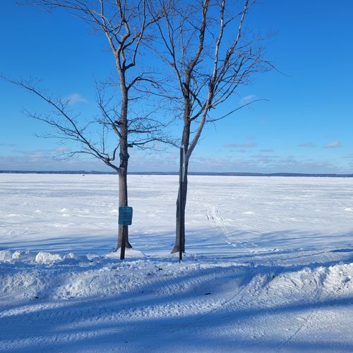 Exterior:  looking out at higgins lake in the winter