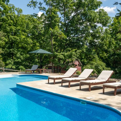 Enjoy a dip in the pool, surrounded by trees and under the open sky.
