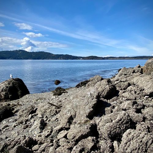 8bb60c57 b8f0 455c 9f8d 85b9985de9df homerunner