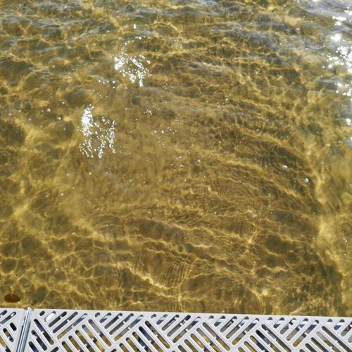 Exterior:  manistee lake