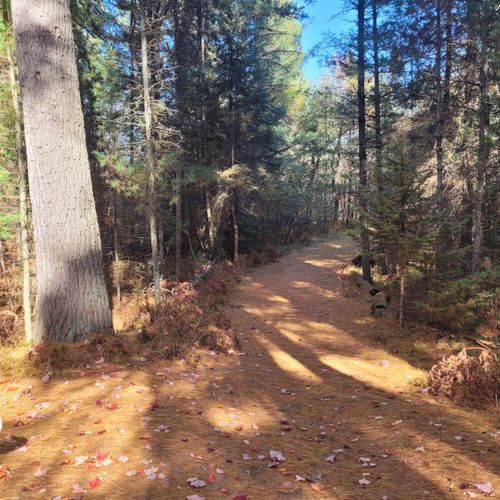 Exterior:  some of the private trails through the property.