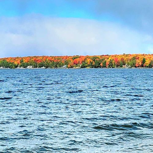 Fall on manistee lake