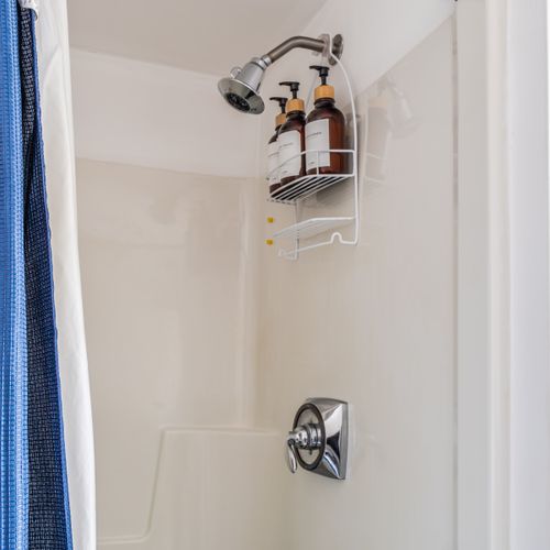 The shower in the guest house bath.