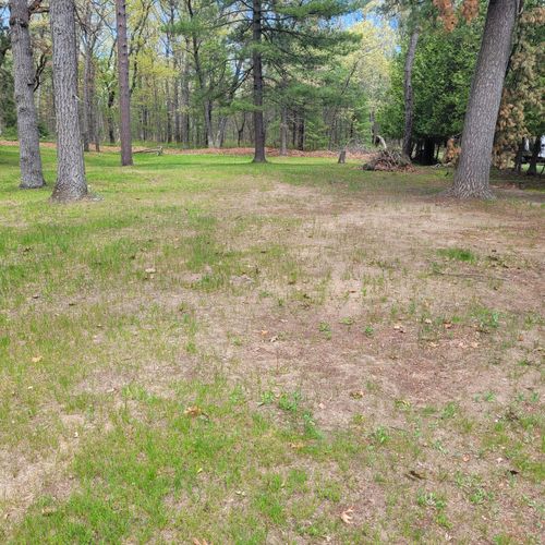 Exterior: the large open backyard for having fun