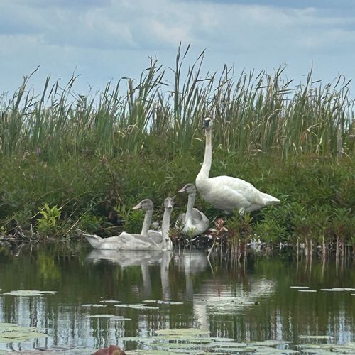Area photos:  some of the beautiful nature in the area.