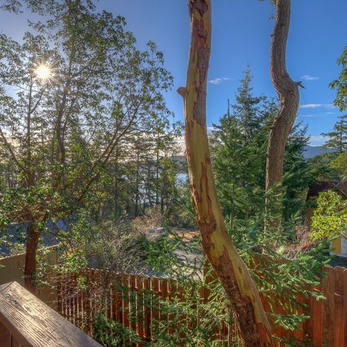 Views to the Eastsound and Indian Island.