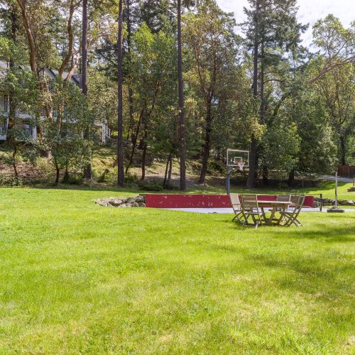 Lawn games and frisbee are another option for game time!