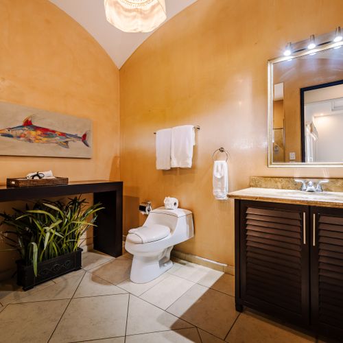 Bathroom with ochre Venetian plaster walls, arched ceiling, swordfish painting, and granite-topped vanity.