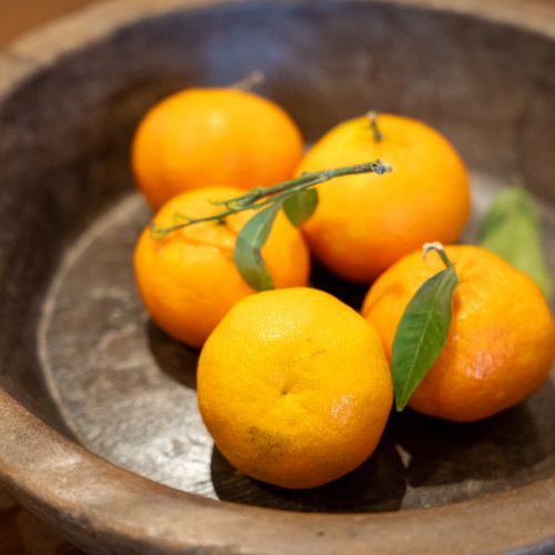 98a401da 8a04 4d6f 9075 bb63627d8331 homerunner