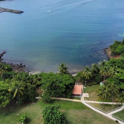 Nature's Embrace: Discover serene landscapes and the calming presence of abundant tropical plants.