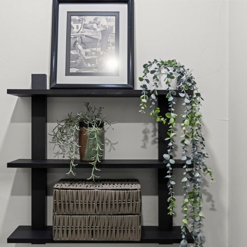 Wall shelves with plants and simple decorative accents.