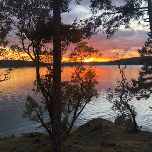 9cbbde2b c1d9 4b81 b483 4b339f6eda7a homerunner