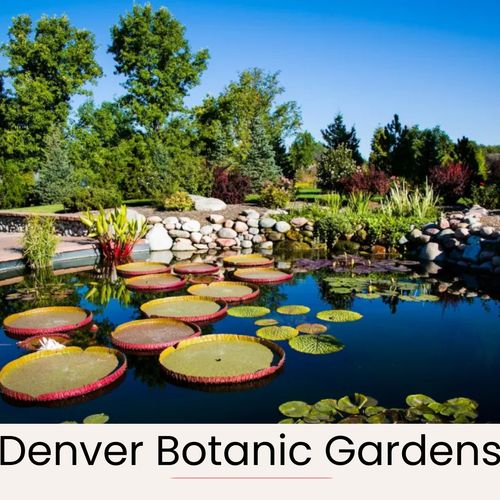Don’t miss the denver botanic gardens! An oasis of color and calm in the heart of the city.