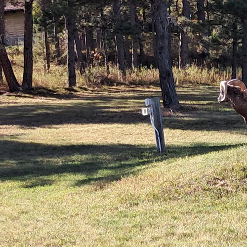 9de8a830 a9b2 4995 a43c 9ac9f73b6355 homerunner