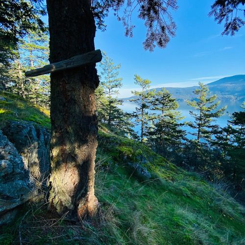 To the beach!  Steep trail that meanders through our private five acres of trees and rocks to the water's edge.