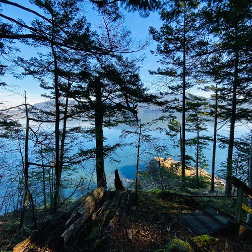 Water views everywhere