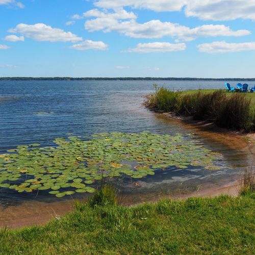 Exterior:  the little cove that is shared with the next door neighbors.