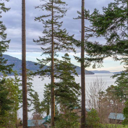 9ec7f35b 616c 4619 93ab b0a32ec45c8f homerunner